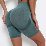 'Jade' Seamless Highwaist Shorts - Green / S | LIMITLESS FIT WEAR